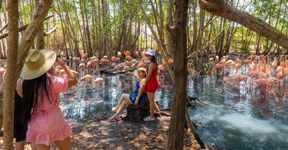 Full-Day Tour- National Aviary and Playa Blanca Bioluminescent Plancton - Inclusions Provided