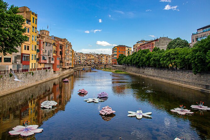 Full Day Tour to Gerona, Figueres and Cadaqués From Barcelona - Reviewer Assistance