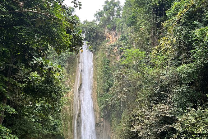 Full Day Tour to Kawasan Falls Canyoneering and Mantayupan Falls - Copyright Details