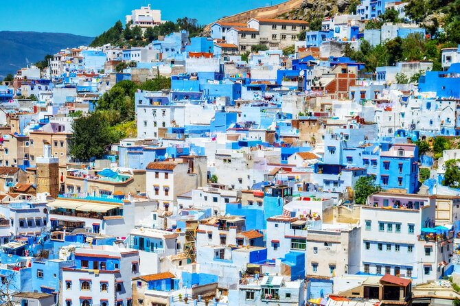 Full Day Trip From Fez to Chefchaouen - Cultural Immersion