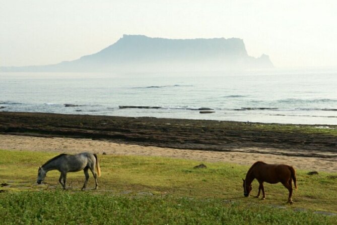 Full-Day Visiting Jeju Island Private Tour With Lunch in Jeju - Itinerary Details