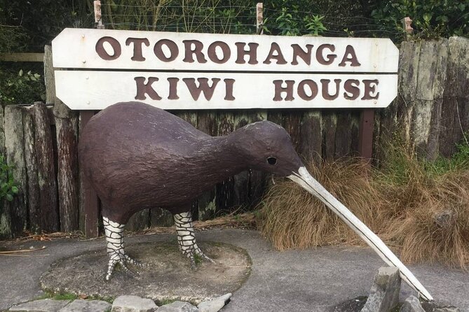 Full Day Waitomo Glow Worm Cave and Kiwi House Tour - Itinerary Highlights