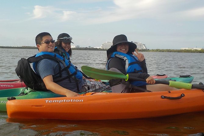 Fully Guided Kayaking Backwater Manatee and Dolphin Tour - Itinerary Highlights