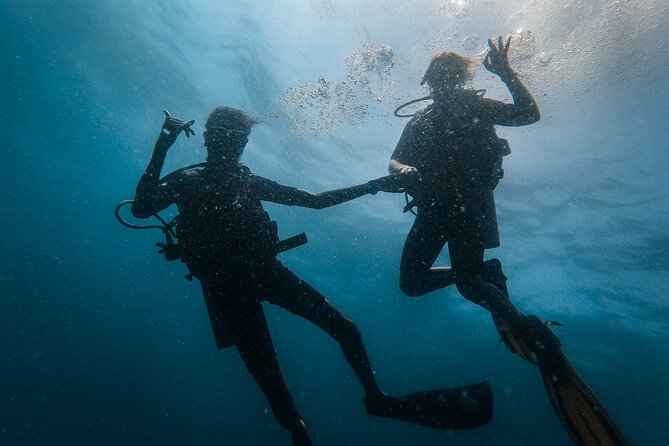 Fun Dives For Certified Divers - Wreck Dives Exploration