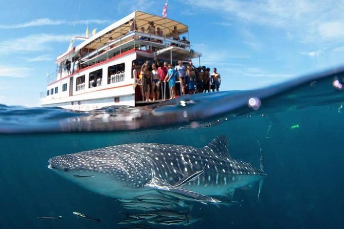 Fun Diving Safari Day Trip From Koh Lanta - Certified Divers - Cancellation Policy Guidelines