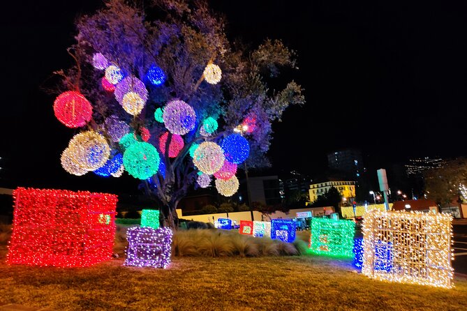 Funchal Christmas Lights Sightseeing Night Tour - Traveler Resources
