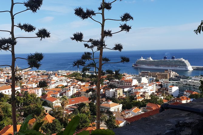 Funchal City Tour - Pricing Information Breakdown