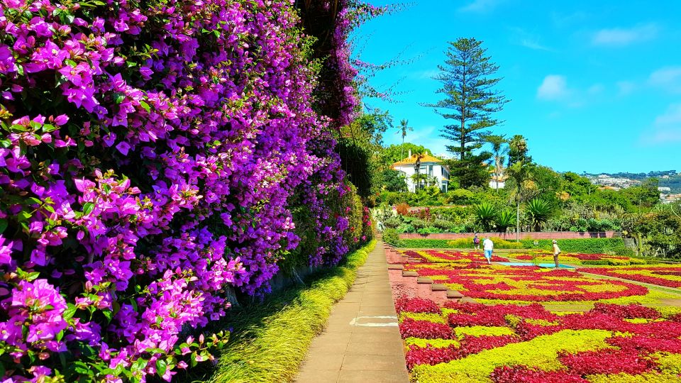 Funchal: Madeira Botanical Garden Private Tuk-Tuk Tour - Experience Highlights