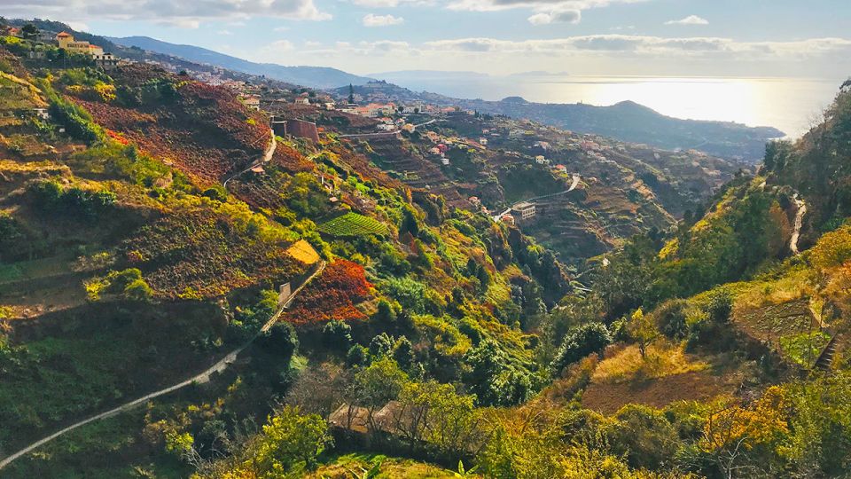 Funchal: Northern Levada Walking Tour - Customer Review