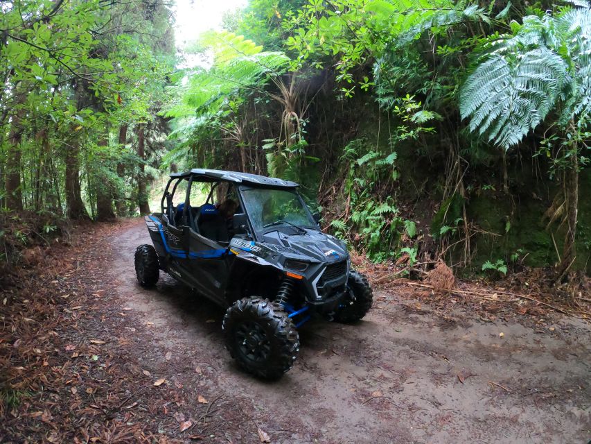 Funchal: Private Off-Road Buggy Tour With Guide & Transfers - Customer Reviews