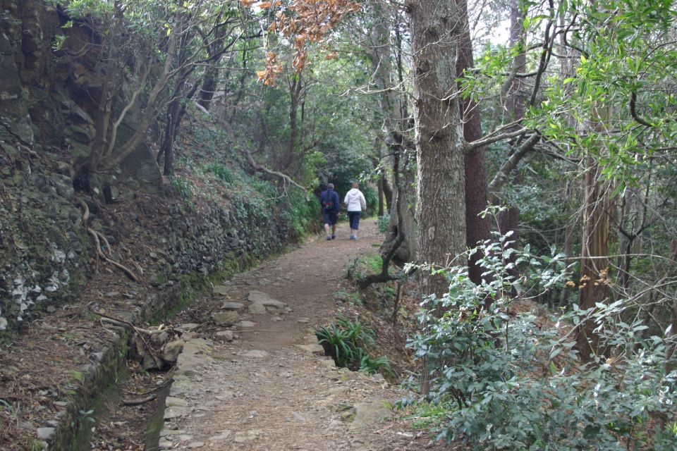 Funchal: Sea and Mountain Views Hidden Forest Hike - Reservation Details