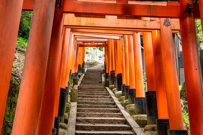 Fushimi Inari Mountain Hiking Tour With a Local Guide - Inari Shrine Exploration