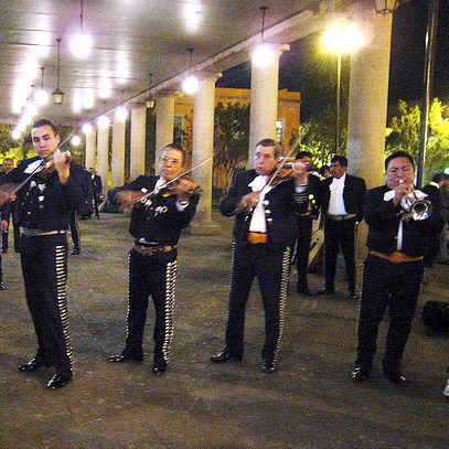 Garibaldi by Night - Mexico City - Participant Information