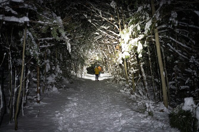 Gatineau Park Nocturnal Snowshoeing Adventure & Dinner - From Ottawa & Gatineau - Traveler Information