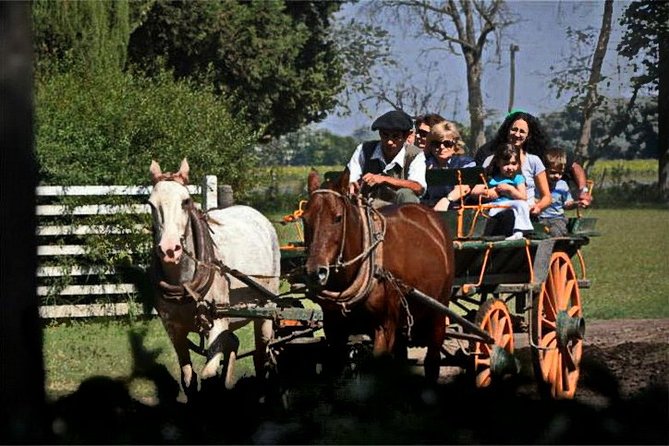 Gaucho Day Tour Don Silvano Estancia From Buenos Aires - Entertainment and Dining Experience