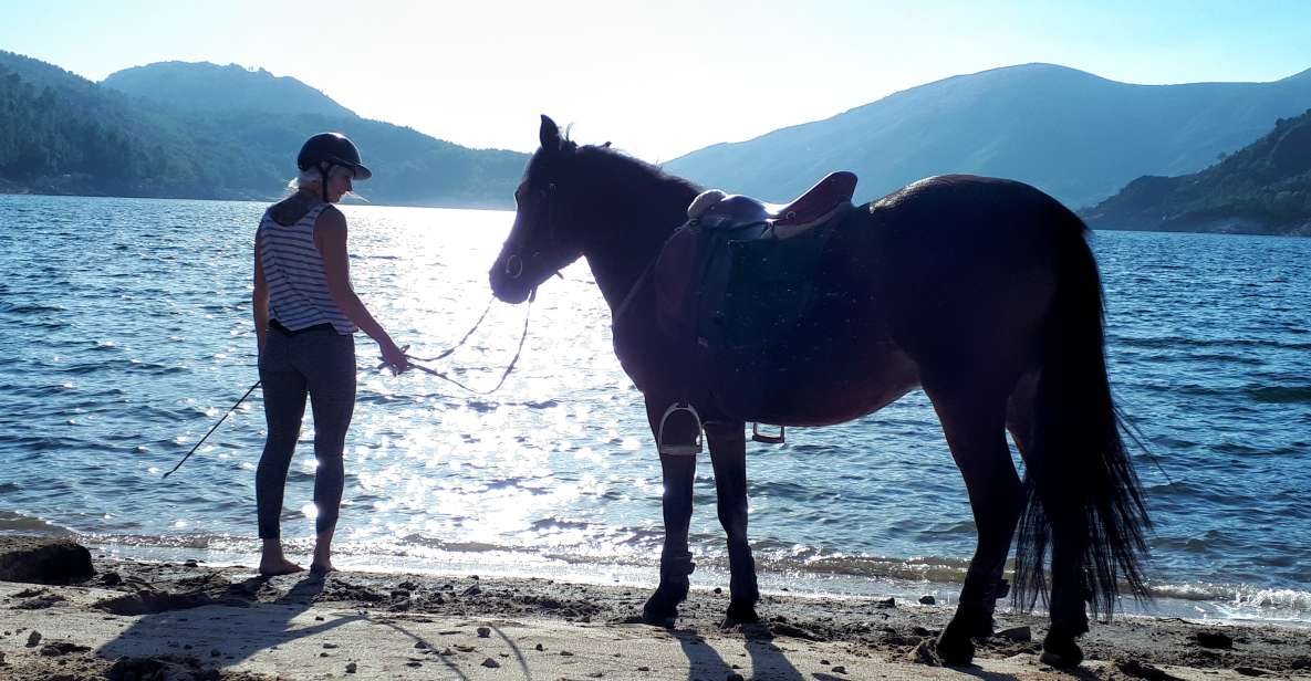 Gerês Braga: Horseback Ride in Peneda Gerês National Park - Rider Requirements