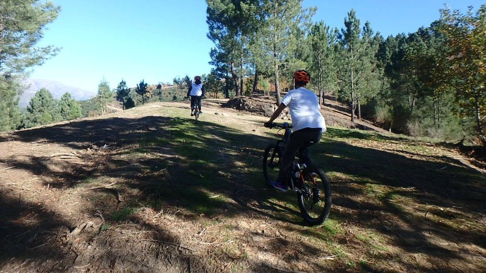 Gerês National Park: E-Bike Tour - Reviews and Recommendations