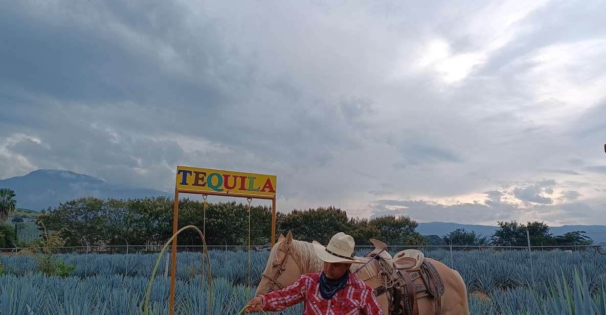 Get on Chile: Know Everything About Tequila in "La Rienda" - La Rienda Museum Visit