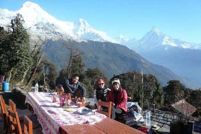Ghorepani-Poonhill Trek 5 Days - Best Short Trek in Annapurna Massif - Traveler Support and Assistance