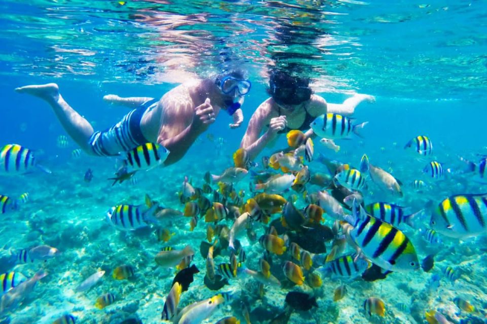 Gili Islands: Underwater Statues Cruise and Snorkeling - Detailed Description