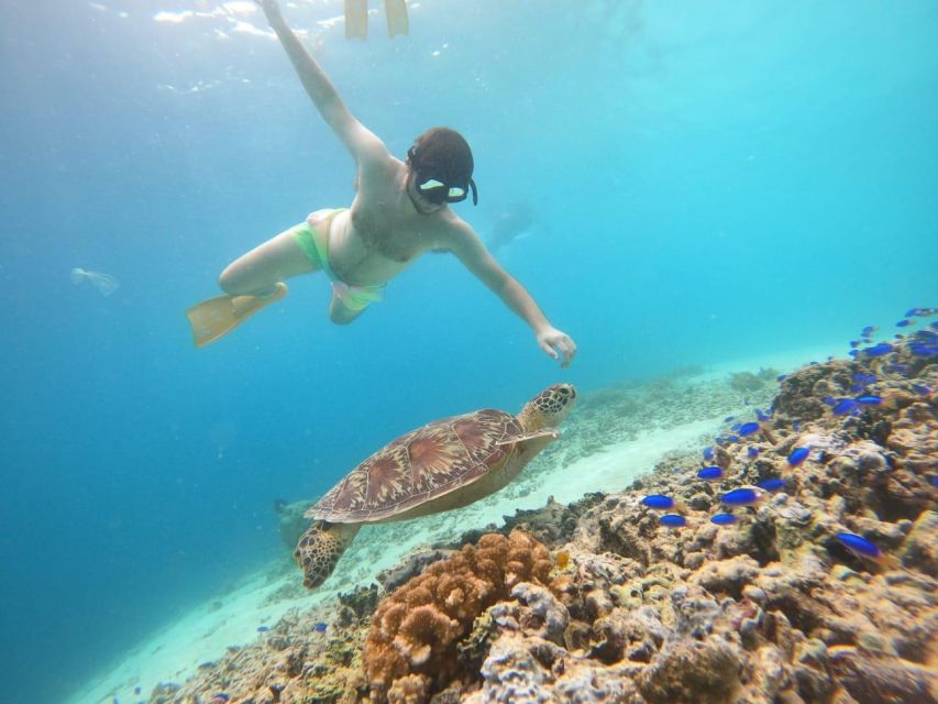 Gili T Island: Gili Snorkeling Day Trip Swim With Turtles - Itinerary Details