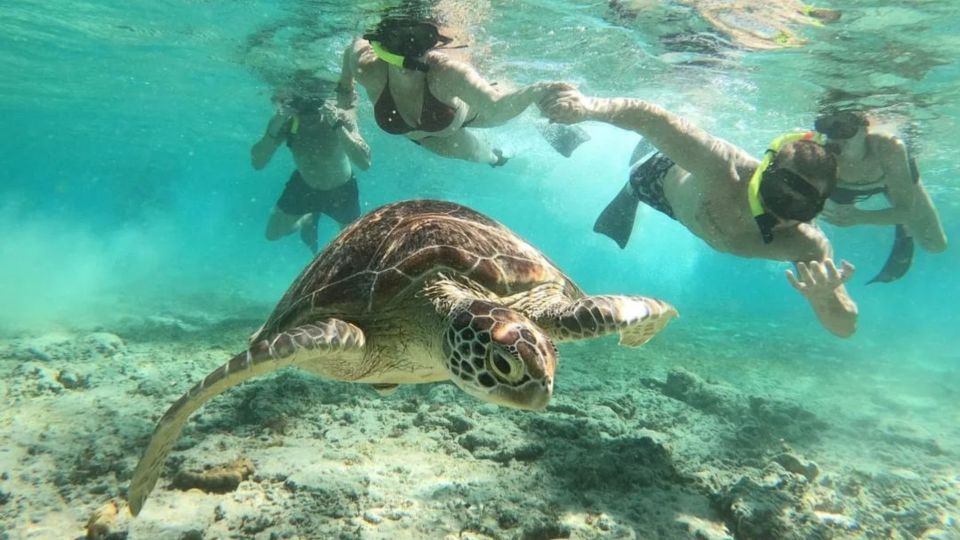 Gili Trawangan: Gili Island 3 Spots Snorkeling With Turtle - Explore Vibrant Coral Gardens