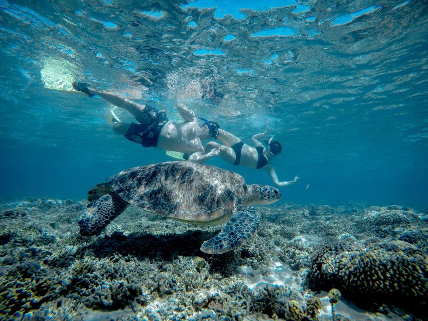 Gili Trawangan : Half Day Snorkeling With Turtle and Statue - Customer Reviews