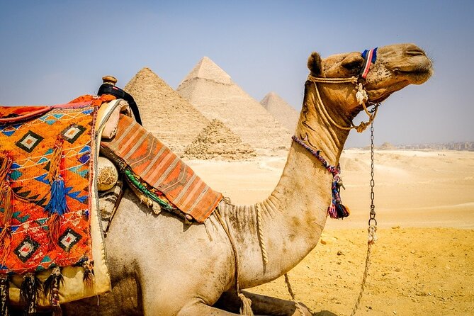 Giza Pyramids, Sphinx, ATV, and Camel: Private Tour With Lunch  - Cairo - Cancellation Policy