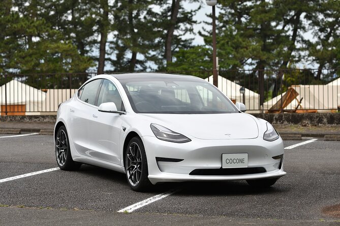 Go Anywhere With a Tesla Rental Car (Free Plan) - Safety Features of Tesla Rentals