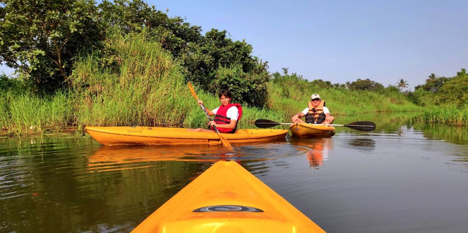 Goa: Backwaters and Mangrove Kayaking Experience - Customer Review