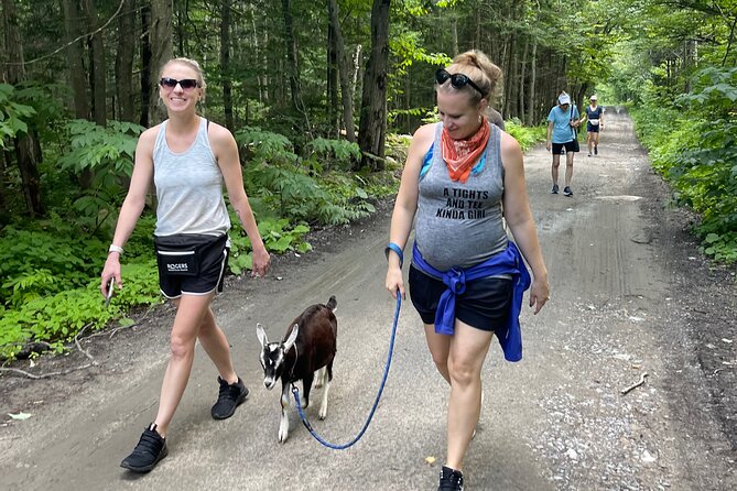 Goat Hiking, Beaver Dam Visit and Picnic in Quebec Forest - Picnic in the Forest