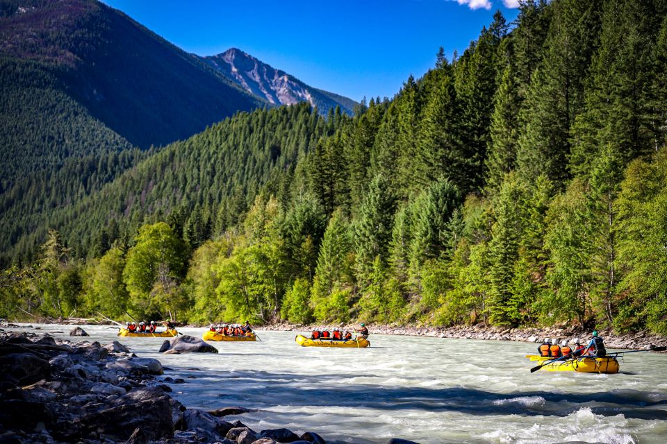 Golden, BC: Kicking Horse River Half Day Whitewater Rafting - Important Information