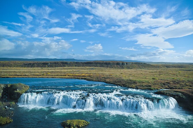 Golden Circle and Friðaheimar Farm Private Tour - Farm Experience Details