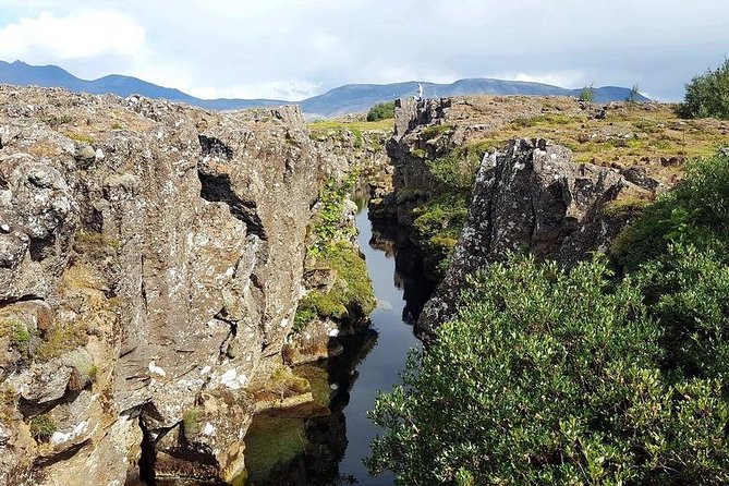 Golden Circle. Private Day Tour From Reykjavik - Traveler Experiences Shared