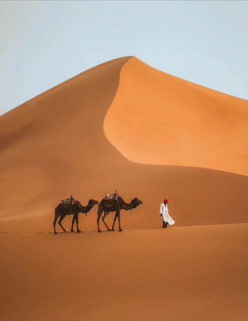 Golden Sands: Exploring Merzouga Magic 3Day Desert Odyssey - Customer Feedback