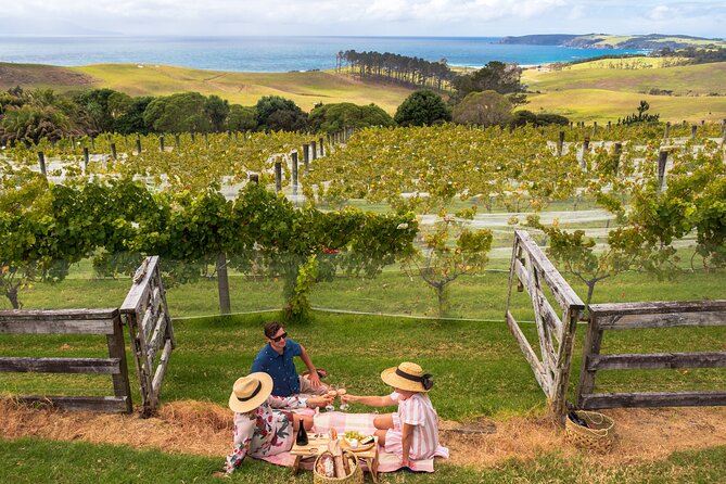 Gourmet Mystery Picnic Experience in Matakana - Terms, Conditions, and Support
