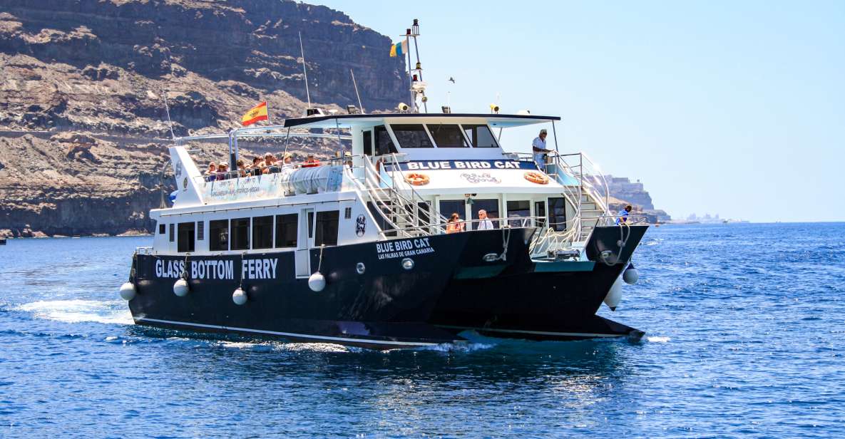 Gran Canaria: Catamaran Dolphin Watch Cruise With Snorkeling - Booking Process