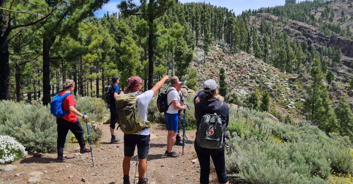 Gran Canaria: "Peaks of Gran Canaria" Hiking Tour - Experience Highlights