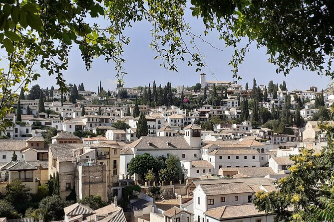 Granada History, Heritage and Culture Guided Tour - Culinary Delights of Granada