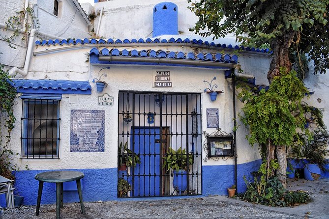 Granada Tapas Trail & Gypsy Flamenco Show - Flamenco Show in Sacromonte