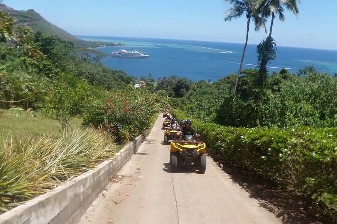 Grand Tour Quad 3h30 Quad Excursion in Moorea (Single or Two-Seater) - Traveler Reviews and Recommendations