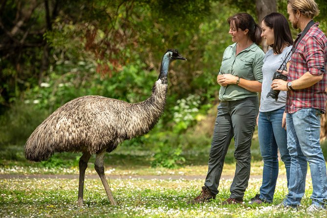 Great Ocean Road and Otway Discovery 2 Day Tour From Melbourne - Operator Information