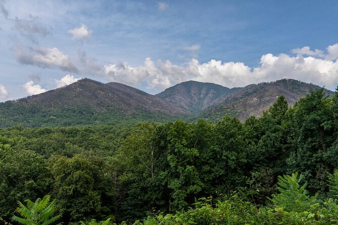 Great Smoky Mountains National Park and Cades Cove Self-Driving Bundle Tours - Tour Features