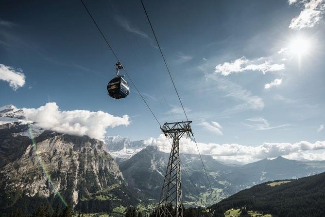 Grindelwald First - Top of Adventure From Zurich - Traveler Feedback and Ratings