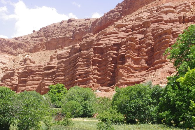 Guide for Gorges Dades, Valley of Roses and All of Morocco. - Activities in Gorges Dades