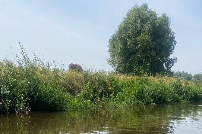 Guided Bike Tour Through the Dutch Countryside in Noord- Holland - Inclusions and Exclusions