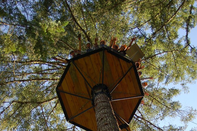 Guided Canopy Tour W/Transportation - Additional Information Provided