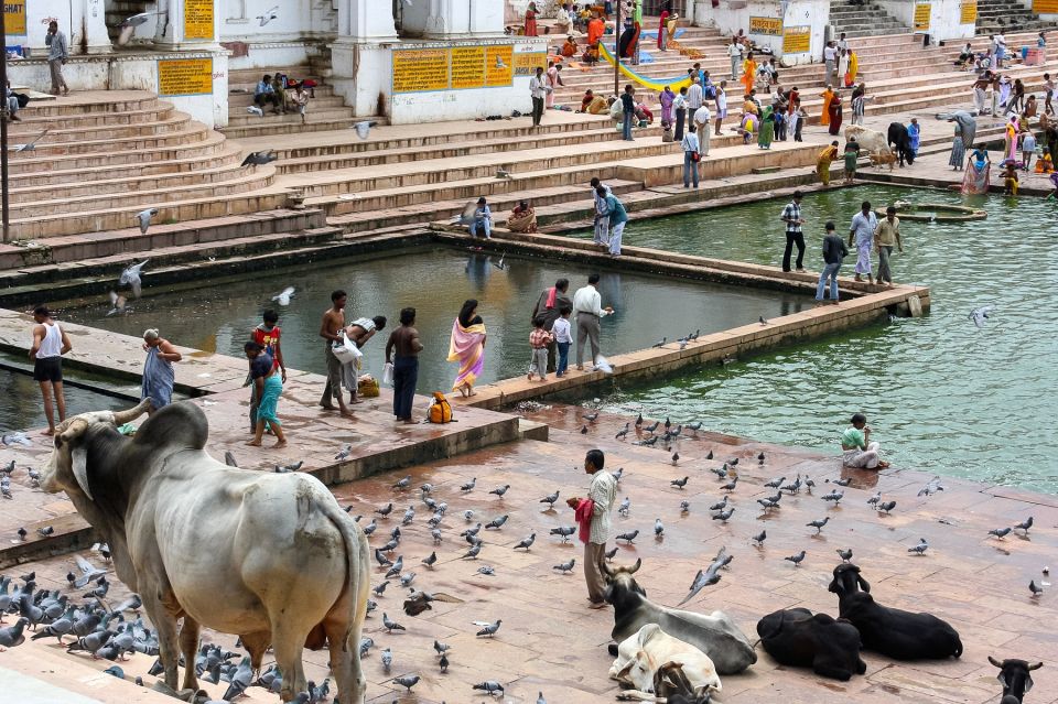 Guided Day Tour of Pushkar From Jaipur - Highlights of Pushkar