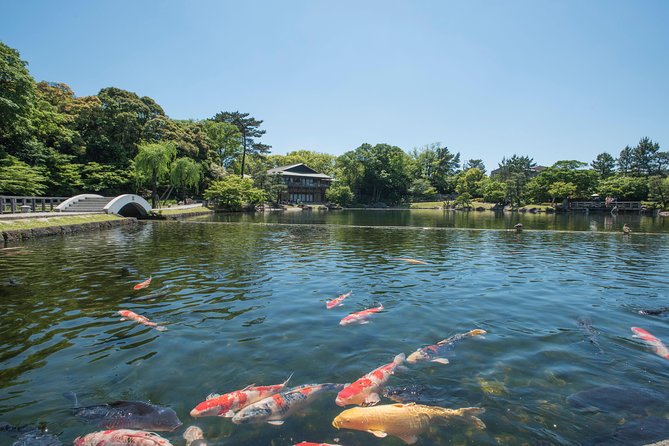 Guided Half-day Tour(AM) to Nagoya Castle & Tokugawa Museum and Garden - Meeting and Pickup Details