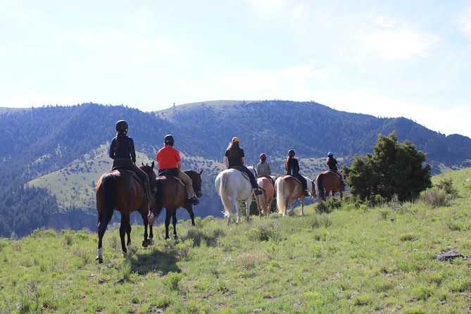 Guided Horseback Trek Through Blue Flower Trail - Logistics